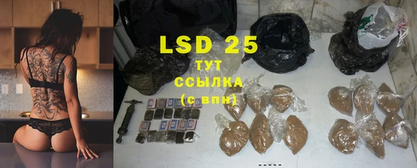 ПСИЛОЦИБИНОВЫЕ ГРИБЫ Михайлов