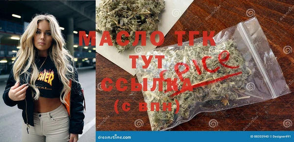 стаф Кирс