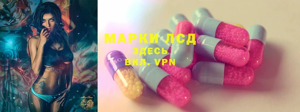 гашик Кедровый