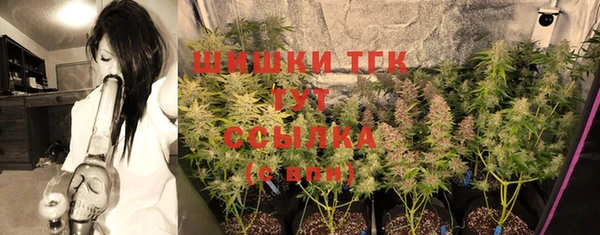 индика Михайловка