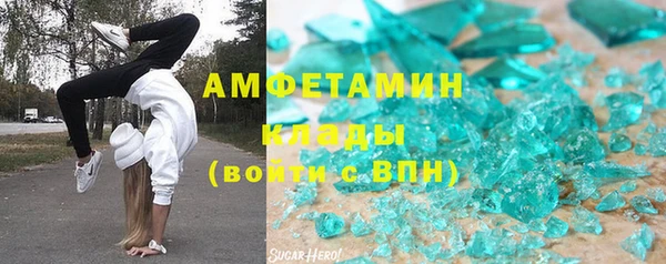 ПСИЛОЦИБИНОВЫЕ ГРИБЫ Михайлов