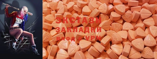 PSILOCYBIN Кемь
