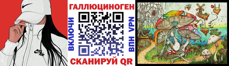 Псилоцибиновые грибы мицелий  kraken tor  Магас 